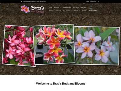 Brads Buds and Blooms